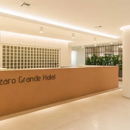 호텔 Bitzaro Grande &
