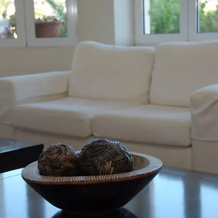 Bitzaro Grande & Kalamákion