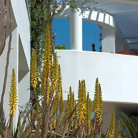 Hotel Bitzaro Grande &
