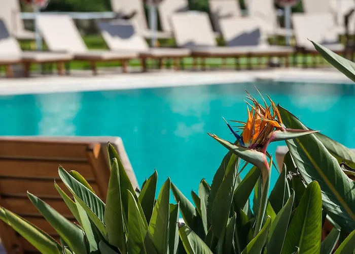 Hotel Bitzaro Grande Hotel&suites 3*