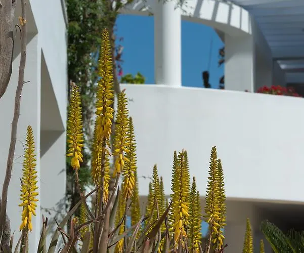 Hotel Bitzaro Grande Hotel&suites 3*