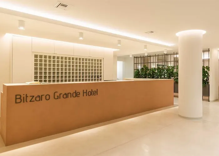 Hotel Bitzaro Grande Hotel&suites