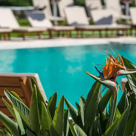 מלון Bitzaro Grande & 3*