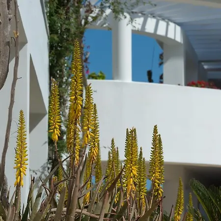 מלון Bitzaro Grande & 3*