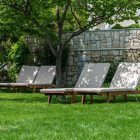 Bitzaro Grande & מלון